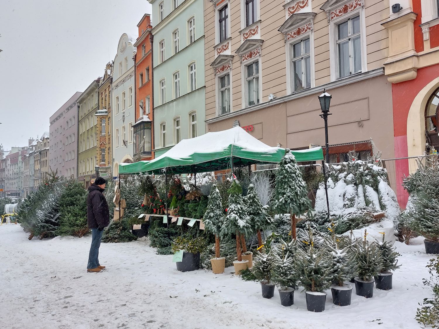 Świdnicki Jarmark Bożonarodzeniowy.jpg